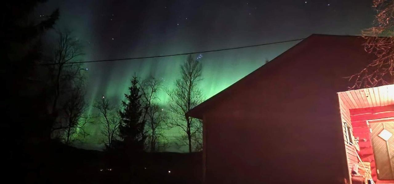 Cosy Cabin In North-Norway, Nearby Senja. Sorreisa Екстер'єр фото