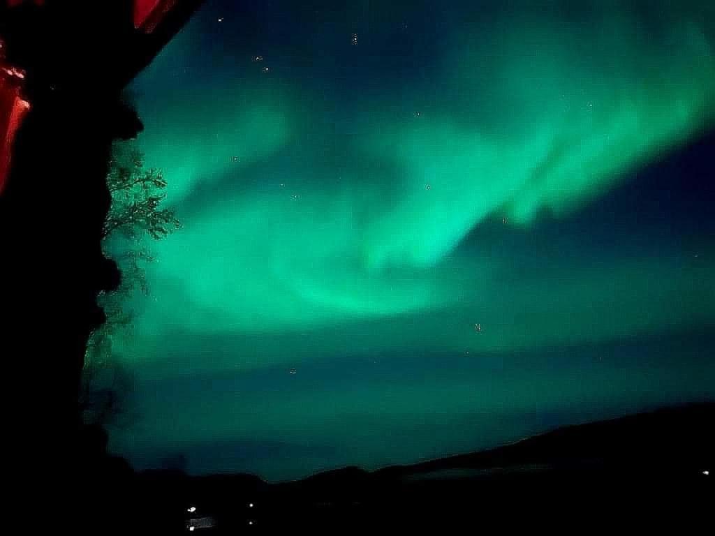 Cosy Cabin In North-Norway, Nearby Senja. Sorreisa Екстер'єр фото